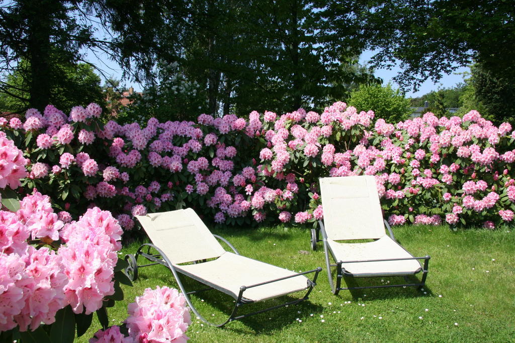 Pension Villa Edelweiss Sellin  Dış mekan fotoğraf
